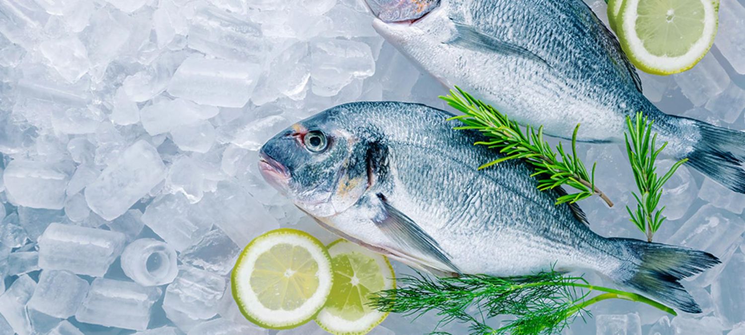 C Mo Saber Si El Pescado Que Compras Es Fresco