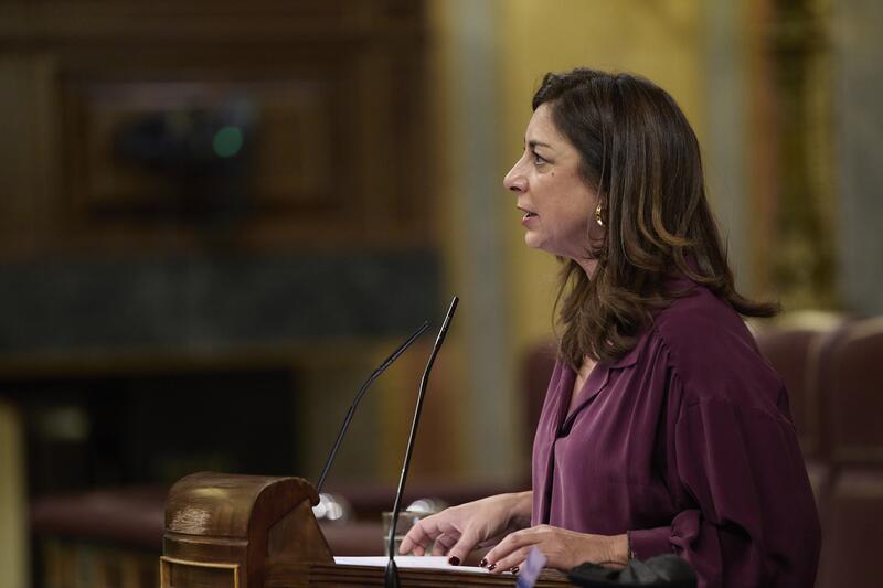 Psoe Unidas Podemos Pnv Y Bildu Rechazan En El Congreso El Plan Del