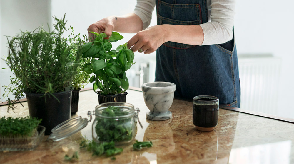 Dile adiós a las cucarachas de la cocina con estas plantas