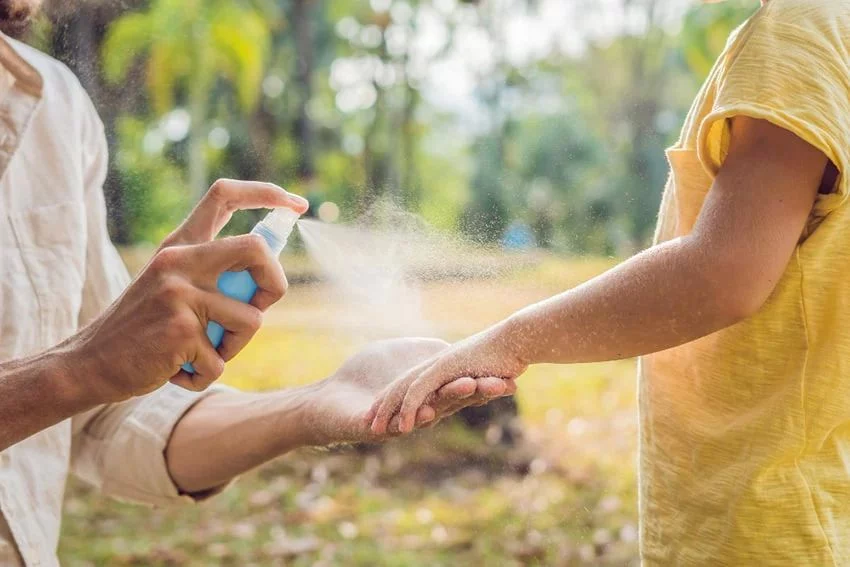 Repelentes Caseros Y Naturales Para Proteger A Tu Familia Este Verano