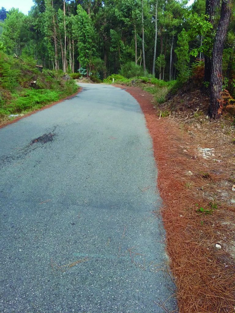 El Ayuntamiento de Arbo licita  dos obras para mejoras de Caminos municipales