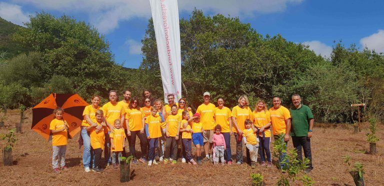 GRAN CANARIA: El voluntariado corporativo de Bankinter y la Fundación FORESTA disfrutan de una jornada de reforestación en Osorio