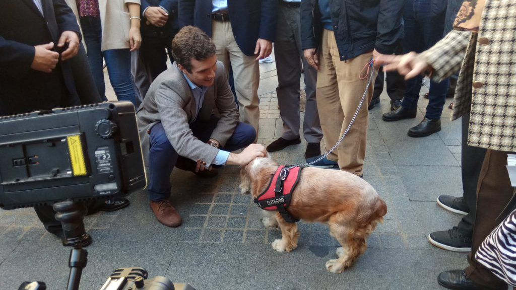 Casado Con Un Perro