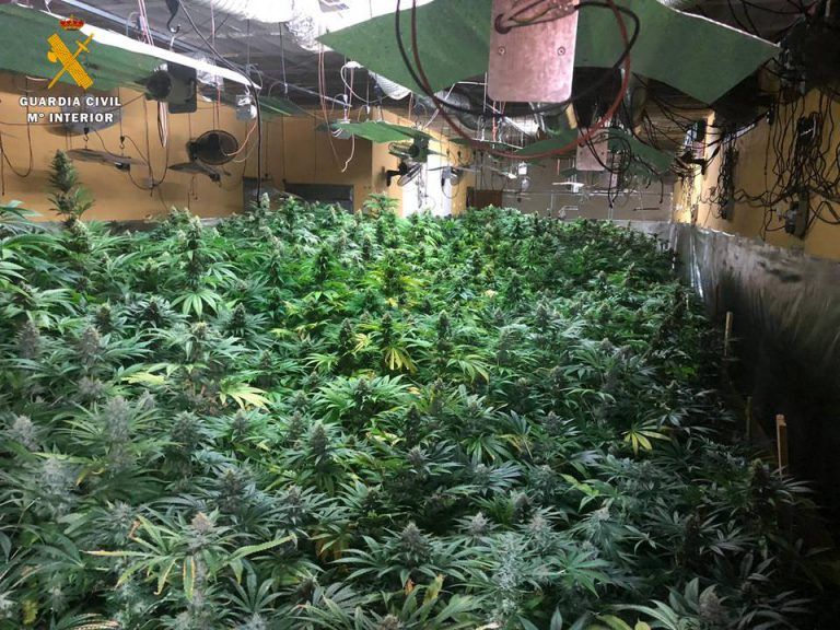 La Guardia Civil de Zaragoza interviene más de 1600 plantas de marihuana en el interior de una vivienda del término municipal de Garrapinillos