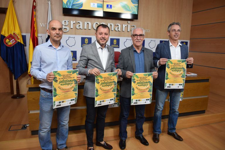 GRAN CANARIA: El Cabildo y Gáldar celebran el Encuentro Regional de Productores de Plátano Ecológico con la mirada puesta en el mercado exterior