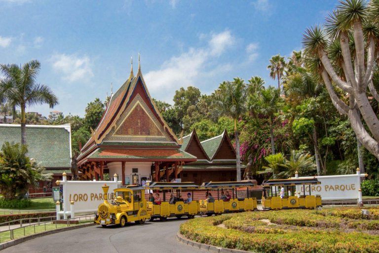 TENERIFE: La publicación ‘The Sun’, líder en Reino Unido, recomienda visitar Loro Parque y Siam Park durante las vacaciones navideñas