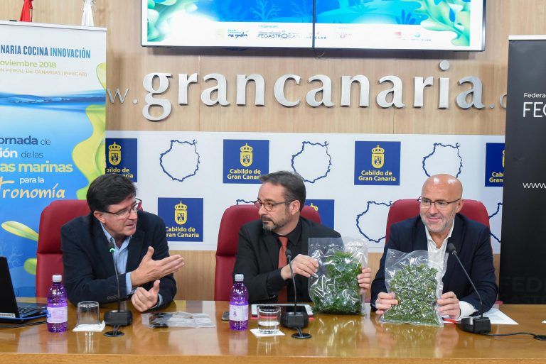 GRAN CANARIA: El Cabildo lleva las algas del mar a la mesa porque “alimentan más que un bistec” en una jornada que ha desbordado las inscripciones