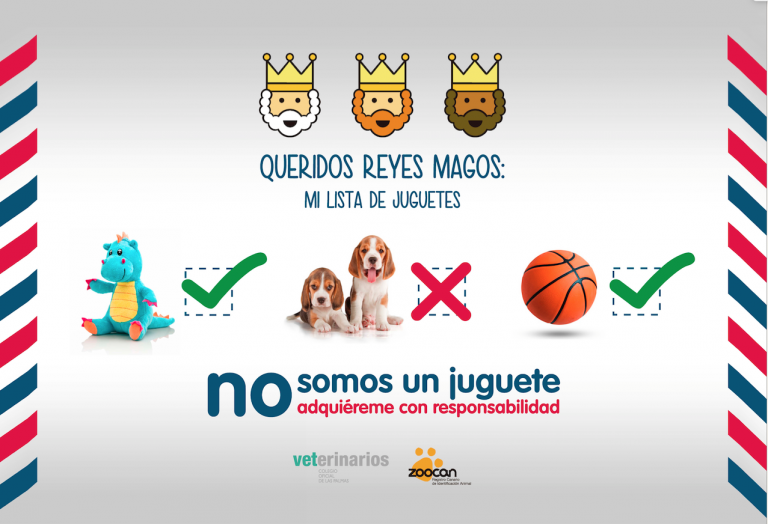 LAS PALMAS DE G.C.: Ayuntamiento y Colegio de Veterinarios piden responsabilidad en la adquisición de mascotas como regalo estas fiestas