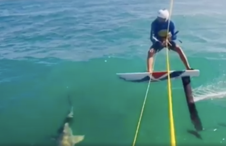 Choca contra un tiburón mientras practica kite surf