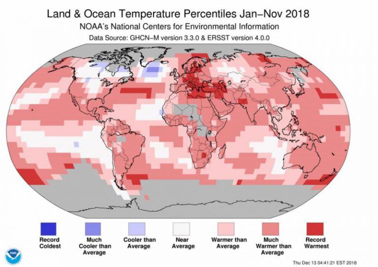 Este año será el cuarto más caluroso jamás registrado en la Tierra