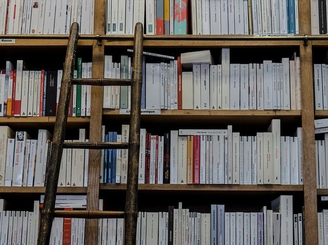 Detenido en Valencia por no devolver 222 libros de la Biblioteca Municipal