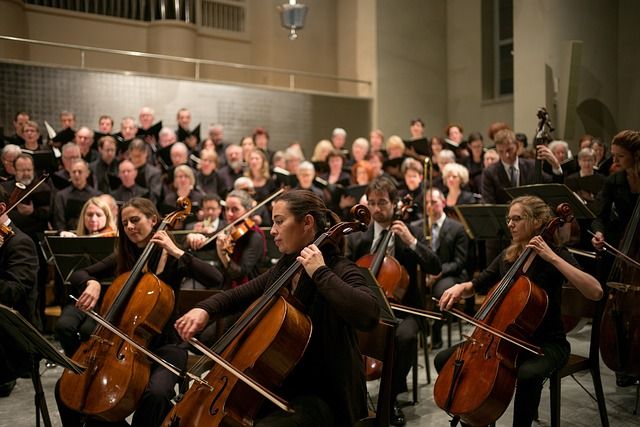 Se le escapa la baqueta en pleno concierto y lesiona a su compañera de orquesta