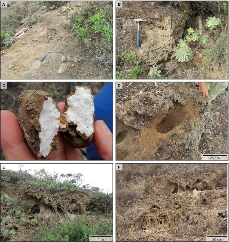 LAS PALMAS DE GC: La ULPGC participa en una investigación en la que se estudia un proceso geológico extraordinario experimentado en el Barranco del Calabozo en Gran Canaria