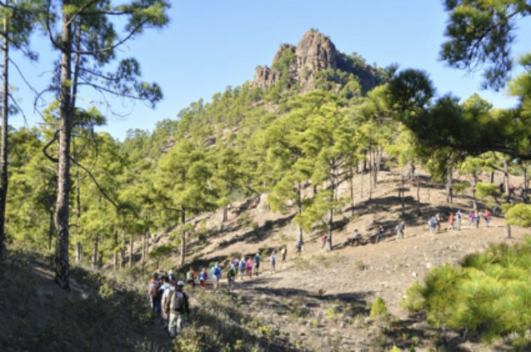 TEROR: El programa municipal de senderimo ‘Teror Patea por Gran Canaria’ abre su  temporada 2019