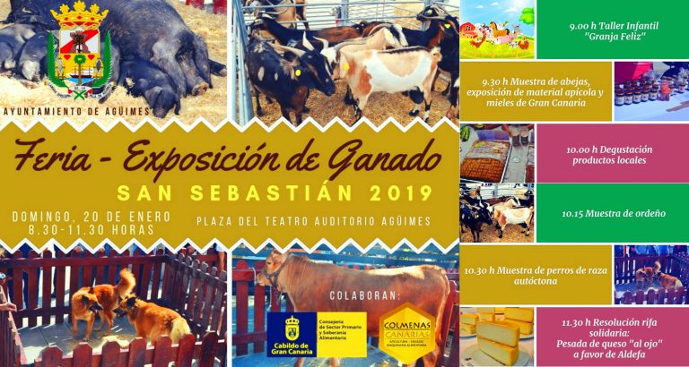 AGÜIMES: Acoge la Feria-Exposición de ganado en honor a San Sebastián 2019