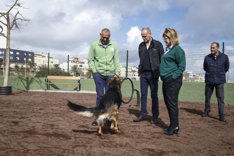 LAS PALMAS DE G.C.: El Ayuntamiento concluye el nuevo parque canino en Las Torres, incluido en los Presupuestos Participativos 2018