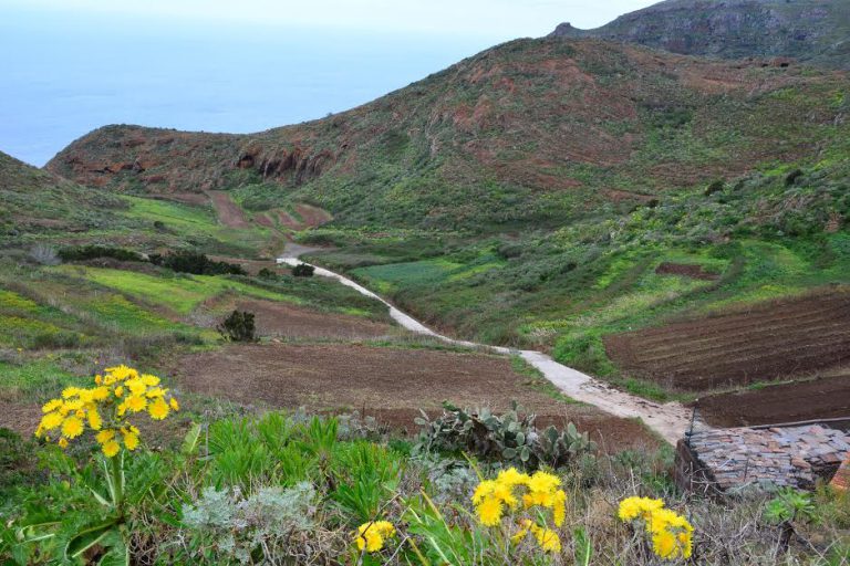 TENERIFE: El Cabildo mejora el acceso del camino agrícola de Charco Hondo, en el Parque Rural de Anaga