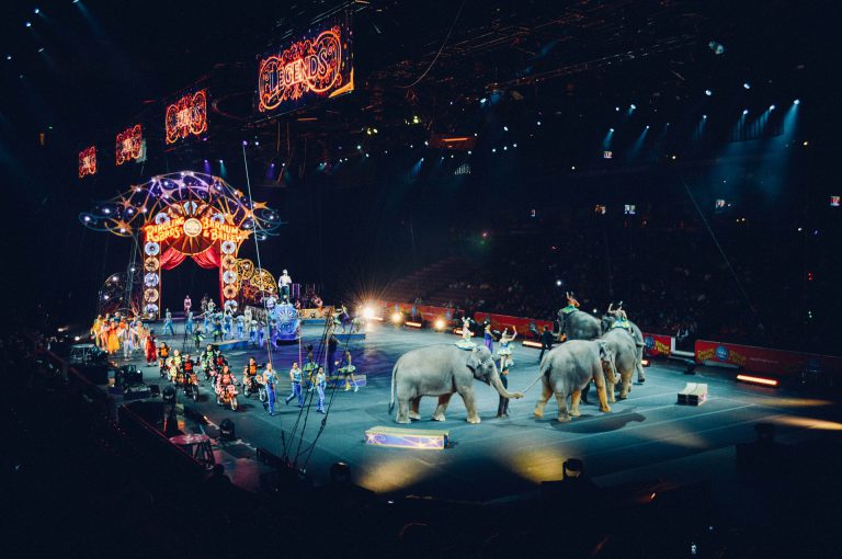 El circo con animales multiplica sus ventas un 80% estas fiestas navideñas en Madrid