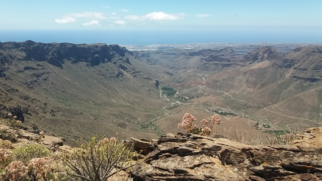 GRAN CANARIA: El Cabido prosigue con la compra de los terrenos de Amurga, Pico Vieto y Peralillo 