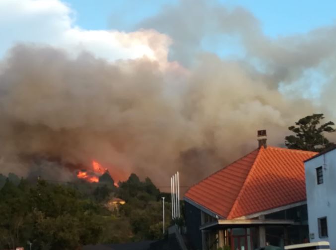 Controlado el incendio forestal desatado en Garafía (La Palma)