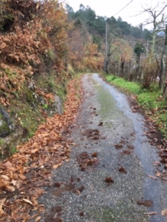 Ensanche y Pavimentación del Vial Municipal Pividal-Mourentan