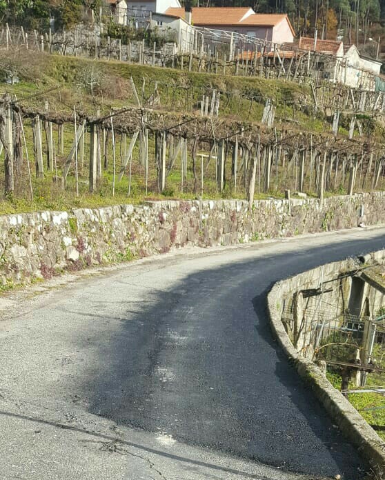 El Concello de Arbo acomete mejoras en varios caminos de titularidad municipal y en el Paseo Fluvial de la Estación