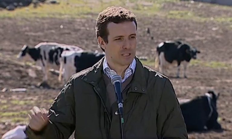 El comentado mitin de Pablo Casado delante de unas vacas que ha encendido Twitter