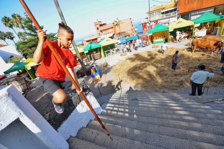 TENERIFE: El Cabildo aprueba dos líneas de subvenciones para   actividades de dinamización comercial y ferias de artesanía