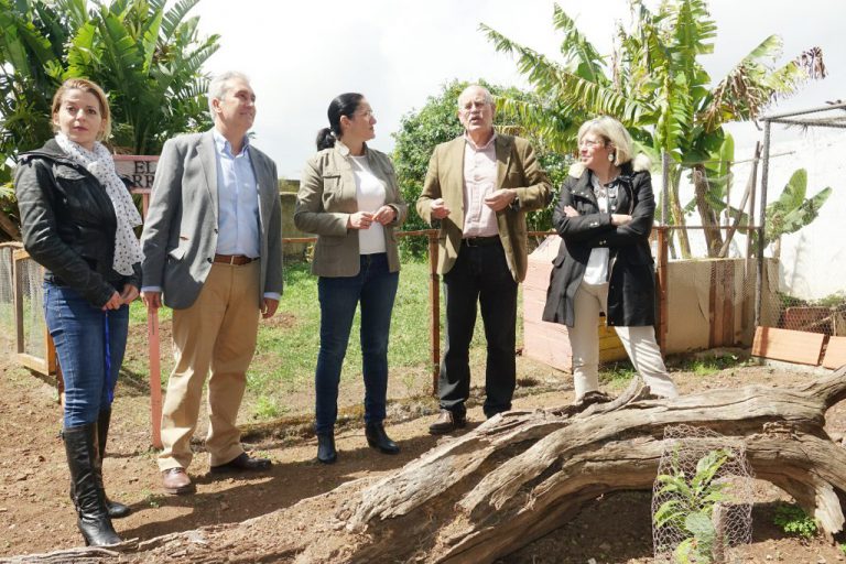 S. C. DE TENERIFE: Santa Cruz invita a una reflexión constructiva sobre la tolerancia social al consumo adictivo