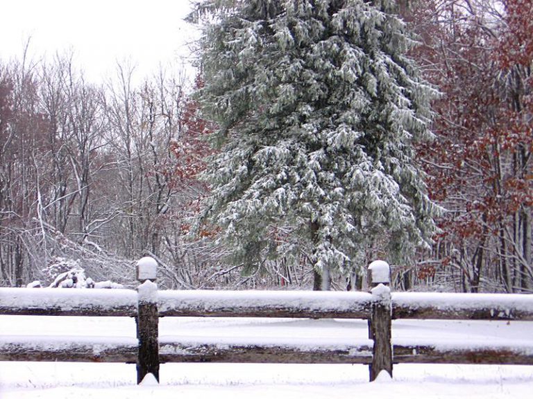 España tiene la mitad de nieve de lo normal al final del invierno