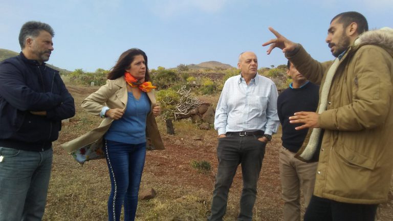 Telde y el Cabildo reforestan el antiguo vertedero de Lomo Calasio para convertirlo en un vergel