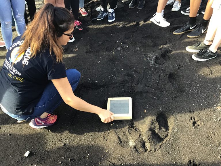 CANARIAS: Loro Parque celebra el Día Mundial de la Vida Silvestre con una semana entera de actividades