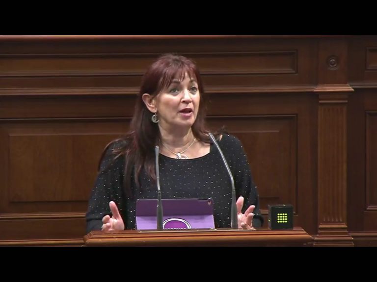 CANARIAS: Podemos vota en contra de la Ley de Igualdad del tripartito porque “no avanza al ritmo de la sociedad”