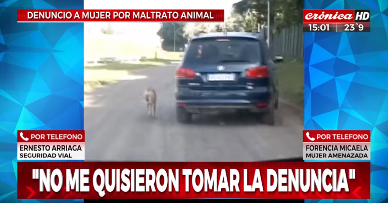 La insólita imagen de un mujer paseando a su perro mientras conduce