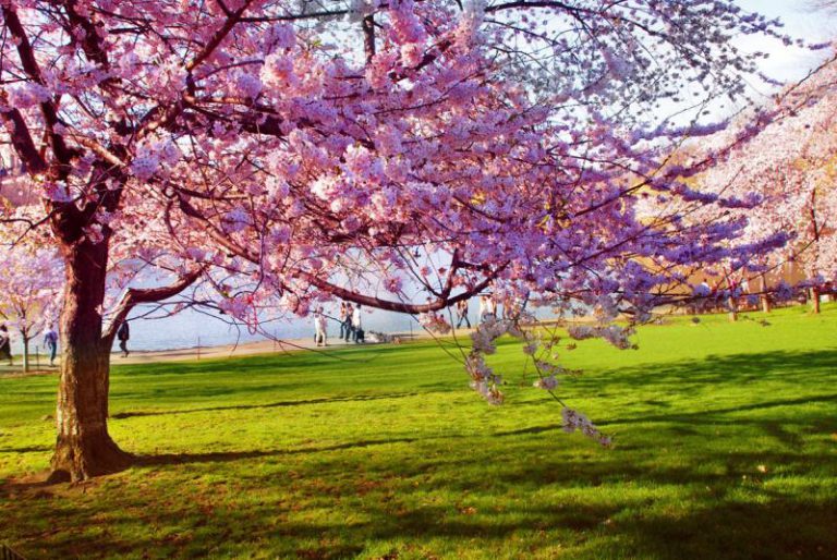 La primavera será más calurosa de lo normal tras uno de los inviernos más secos