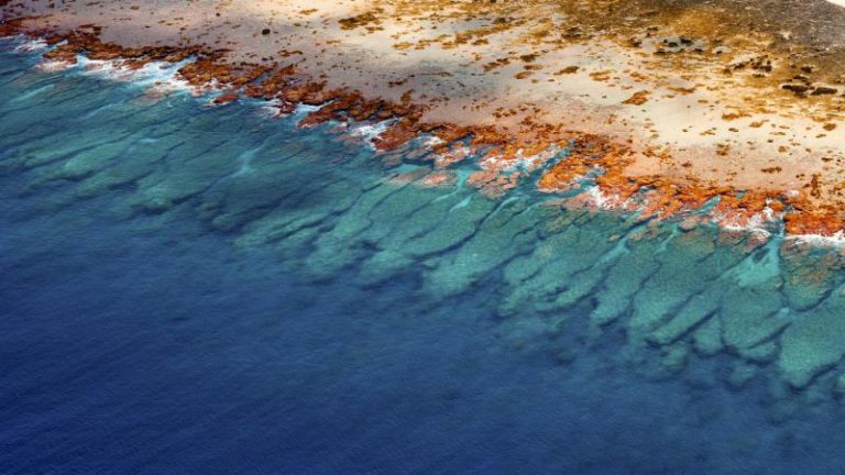 Crean el primer atlas mundial de arrecifes de coral