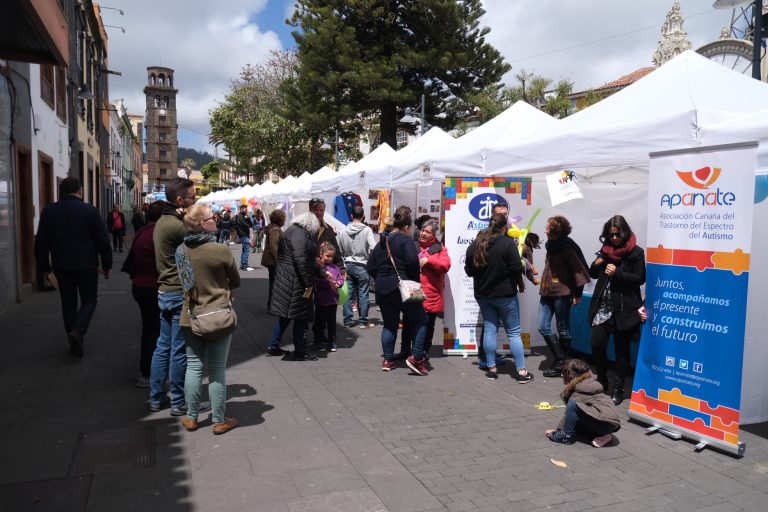 El Ayuntamiento de La Laguna modificará el Reglamento del Consejo Escolar Municipal para mejorar sus funciones