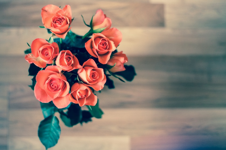 ¿Por qué las rosas son el regalo ideal?