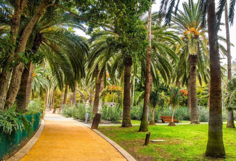 Santa Cruz celebra este viernes la II Jornada de Parques y Jardines