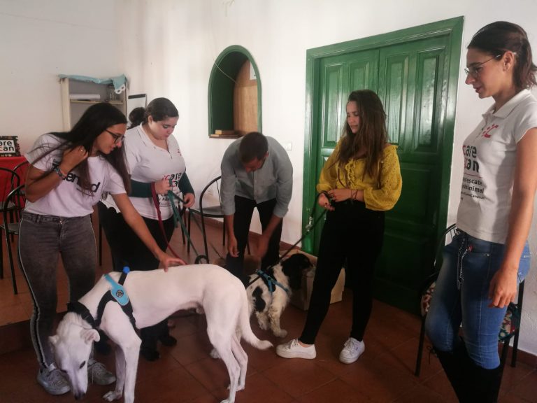 Amantes de los animales conocen los entresijos de un centro de acogida en la Casa de la Juventud