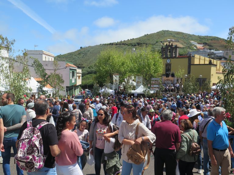 La Fiesta del Queso de Montaña Alta acogió a miles de visitantes de toda Gran Canaria fieles como cada año a esta cita en torno a las tradiciones canarias