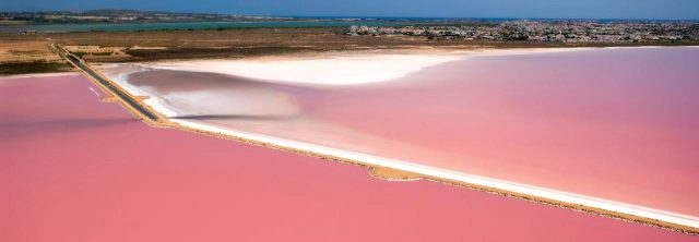 Lagunas De La Mata Y Torrevieja – Alicante