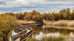 Tablas De Daimiel Ciudad Real