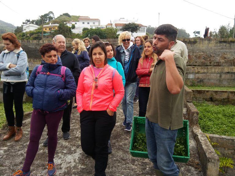 Concluyen las visitas guiadas previstas a los cultivos de las berreras de Firgas