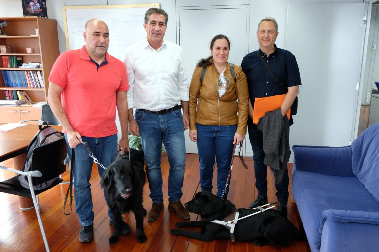 El Gobierno avanza en el decreto sancionador por incumplimiento de la Ley de Perros de Asistencia