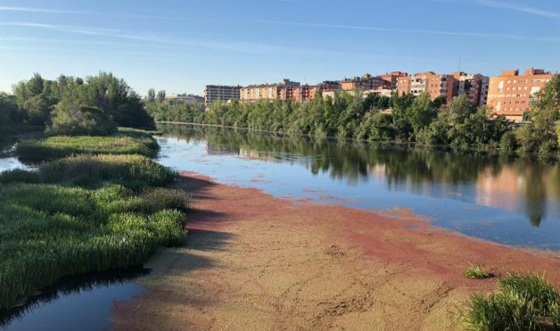 La razón por la que el río Tormes se tiñe de rojo a su paso por Salamanca