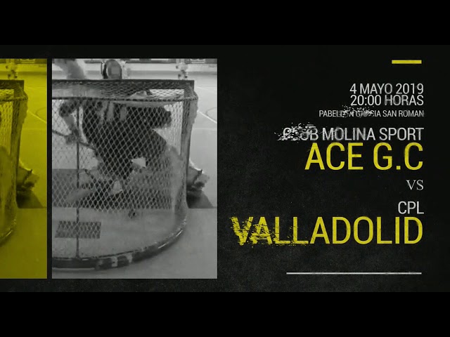 LAS PALMAS DE G.C.: Play off de la Liga Nacional de Hockey en Línea