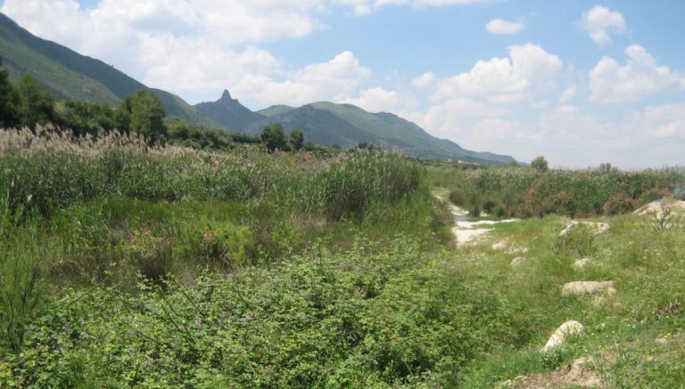 Este es el municipio más endeudado de España en el que cada habitante debe más de 8.000 euros