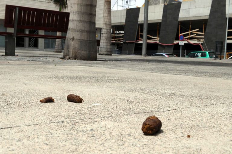 Un pueblo de Salamanca contrata detectives para sancionar a quienes no recojan las cacas de sus perros