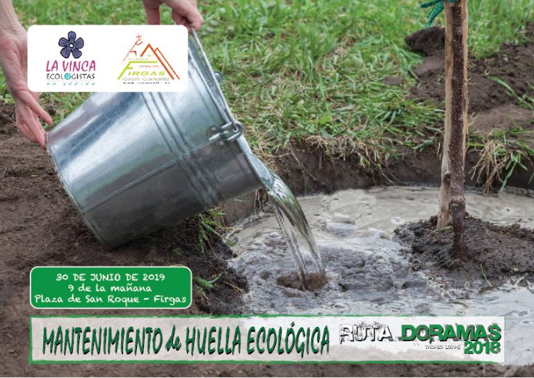 El domingo 30 de junio se llevará a cabo una Acción Medioambiental de mantenimiento y riego de las repoblaciones de Laurisilva en la Montaña de Firgas